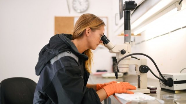 <p>
	Развойният център Cargill в Дирдал, Норвегия. <em>Снимка: Ройтерс</em></p>
