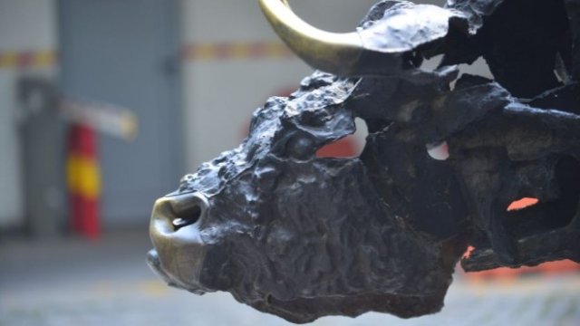 <p>
	<em>Снимка: БФБ АД</em></p>
