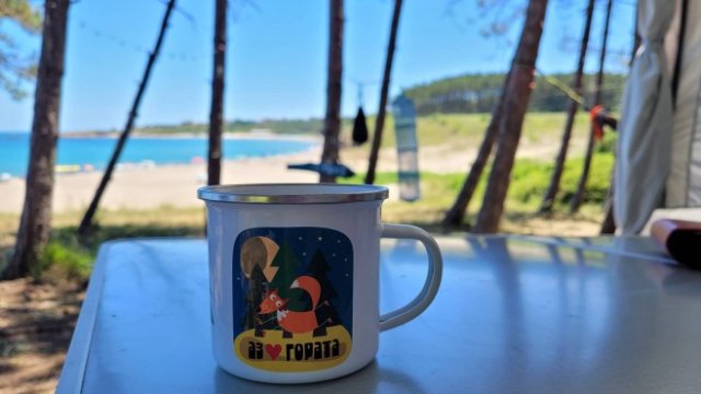 <p>
	<em>Снимка: Investor.bg</em></p>
