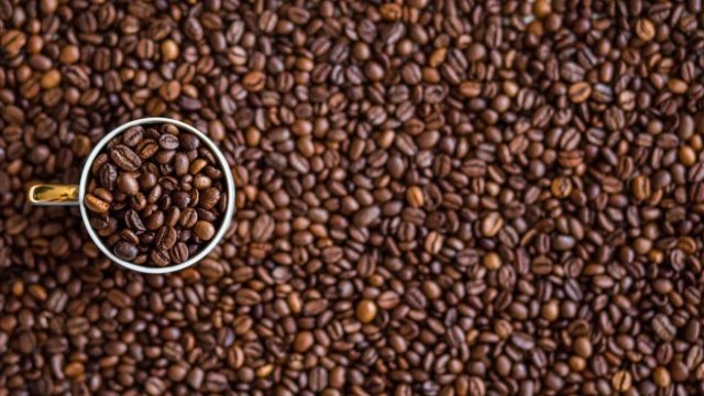 <p>
	<em>Снимка: Архив Ройтерс</em></p>
