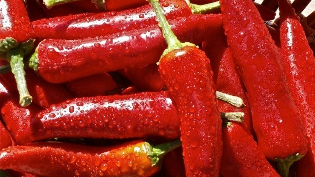 <p>
	<em>снимка: pixabay</em></p>
