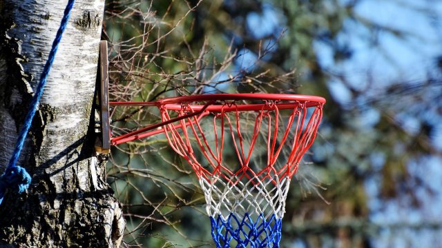 Снимка: Pixabay