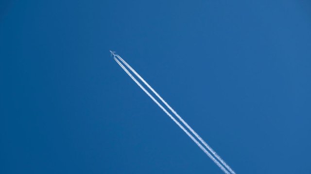 Снимка: Mike Kemp/In Pictures via Getty Images