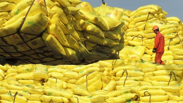 <p>
	<em>Снимка: архив Ройтерс</em></p>
