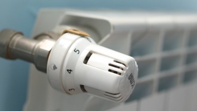 <p>
	<em>Снимка: БГНЕС/БЛАГОЙ КИРИЛОВ</em></p>
