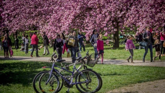 <p>
	В 227 града на страната населението намалява през миналата година. <em>Снимка: БТА</em></p>
