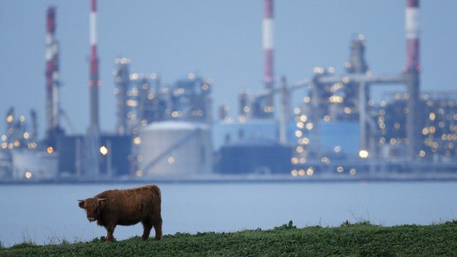 <p>
	Рафинерия на Total в Западна Франция. <em>Снимка: Ройтерс</em></p>
