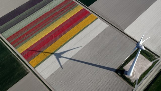 <p>
	<em>Снимка: Ройтерс</em></p>
