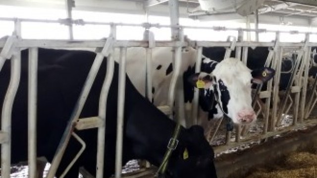 <p>
	<em>Снимка: Архив Ройтерс</em></p>
