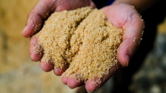 Снимка: Bloomberg LP