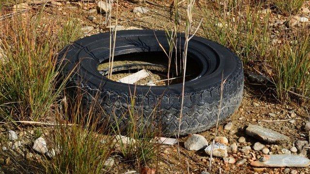 <p>
	<em>Снимка: Pixabay</em></p>
