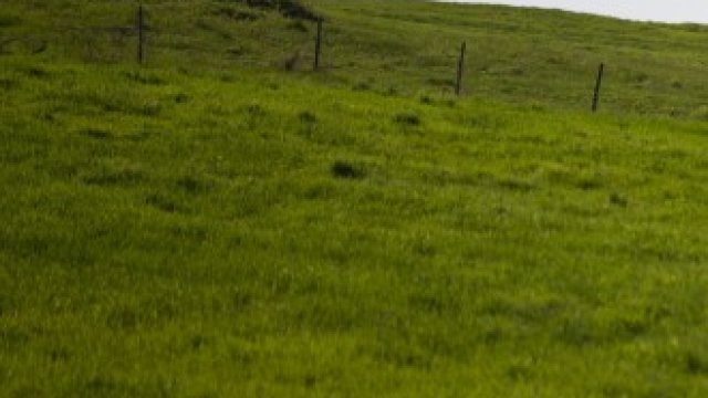 <p>
	<em>Снимка: Christinne Muschi/Bloomberg</em></p>
