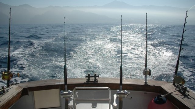 <p>
	<em>Снимка: Pixabay</em></p>
