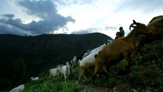 <p>
	<em>Снимка: Архив Ройтерс</em></p>
