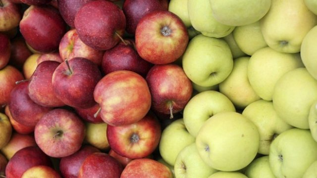 <p>
	Снимка: <em>Архив Ройтерс</em></p>
