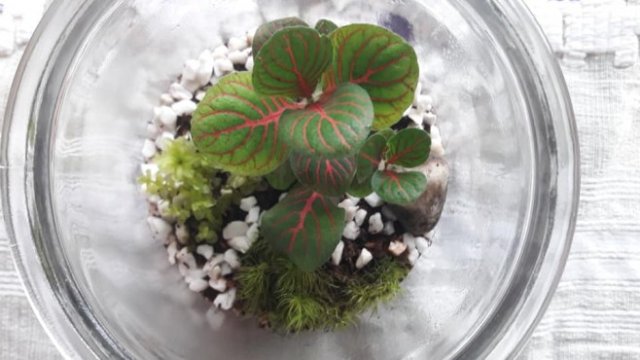 <p>
	<em>Снимки:&nbsp;Facebook</em></p>
