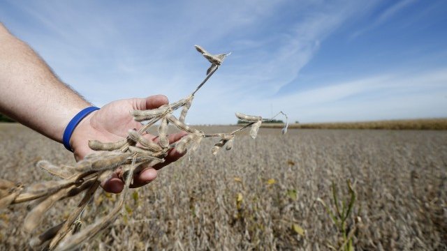 <p>
	<em>Снимка: архив Ройтерс</em></p>
