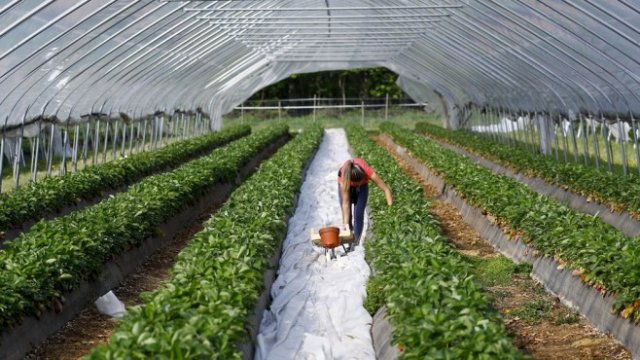 <p>
	Снимка: Alex Kraus/Bloomberg</p>
