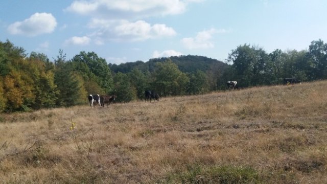 <p>
	<em>Снимка: Investor.bg</em></p>
