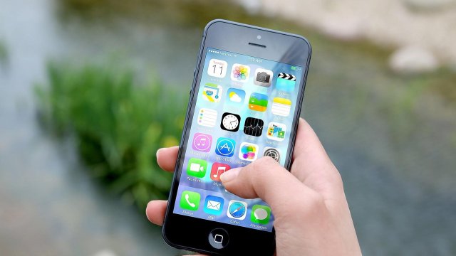 Снимка: Pixabay