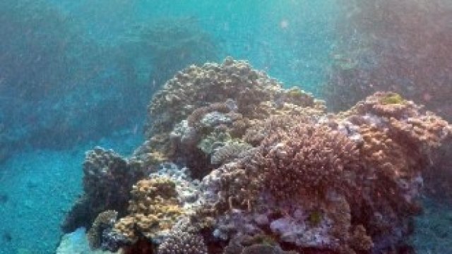 <p>
	<em>Снимка: Архив Ройтерс</em></p>
