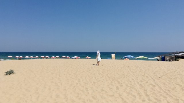 Снимка: Investor.bg