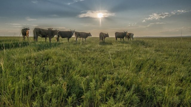 <p>
	<em>Снимка: Pixabay</em></p>
