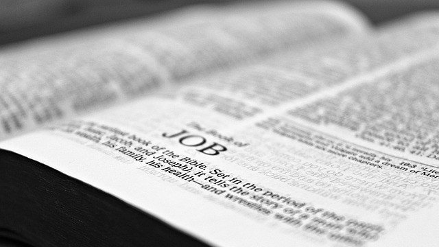 <p>
	<em>Снимка: Pixabay</em></p>
