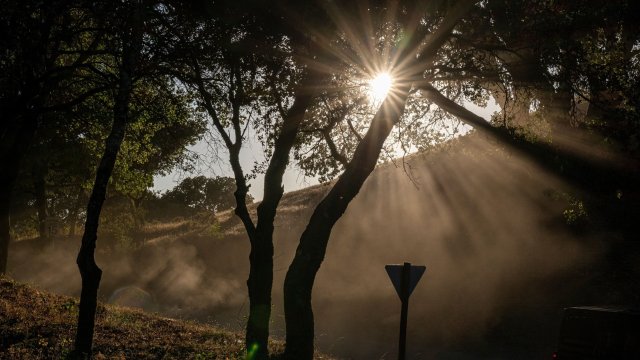 Снимка: Bloomberg