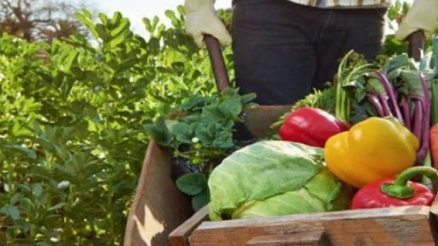 <p>
	<em>Снимка: ДФЗ</em></p>
