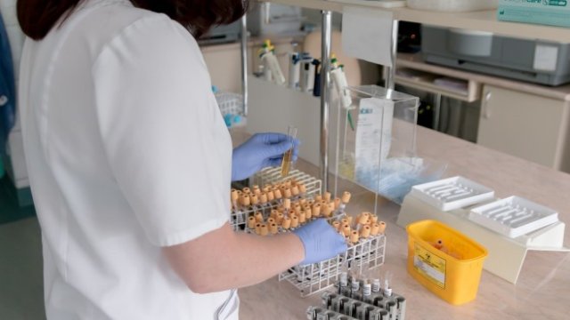 Надя Василева: Недостигът на кадри може да забави икономиката