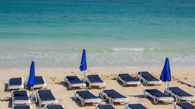 <p>
	<em>Снимка: Pixabay</em></p>
