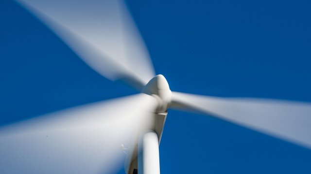 Снимка: Pixabay