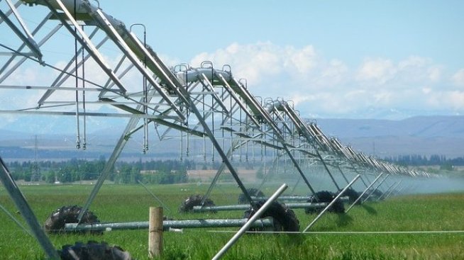 Насочват още 170 млн. лева за земеделие в плана за възстановяване