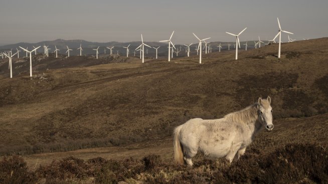 Европейските фирми увеличават значително покупките на зелена енергия през 2023 г.