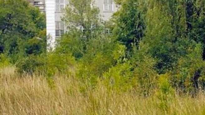 Строителството на София Тех Парк започва в средата на годината