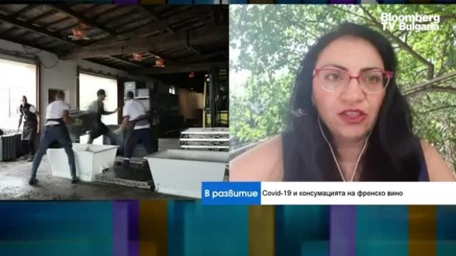 Има ли спад на френските инвестиции в България?