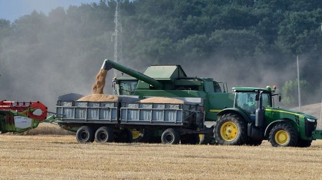 Нова прогноза за зърнената реколта понижи цените