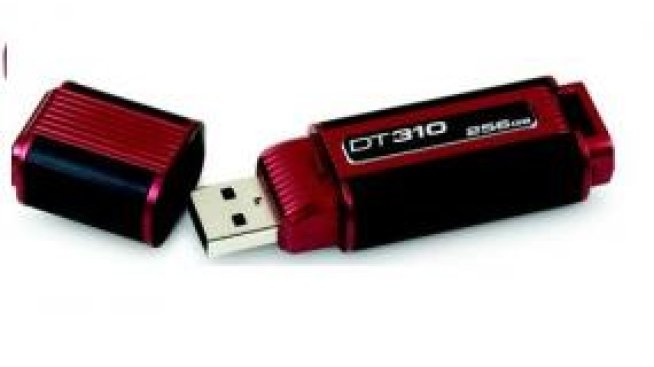 DataTraveler с 256 GB памет