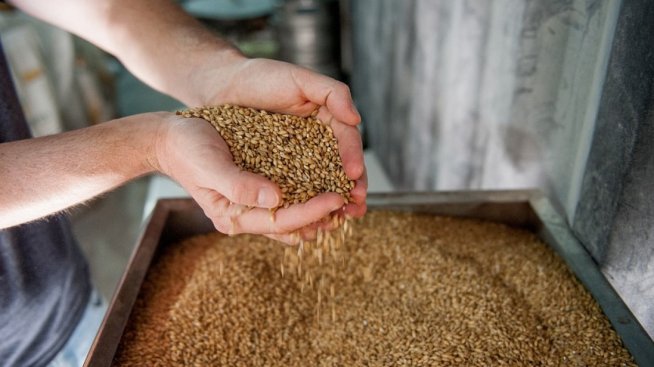 Започва строителство на нов завод за производство на малц в Плевен