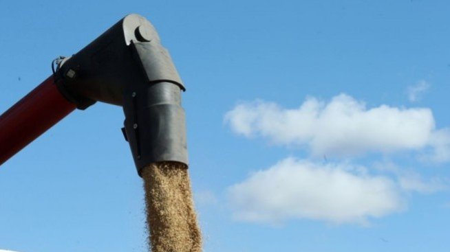 Кирил Петков: Отпускаме пари за зърно