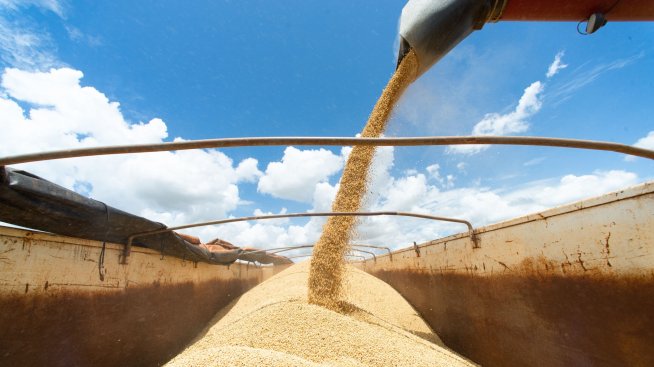 Световните суровинни пазари засега не се поддават на фрагментацията