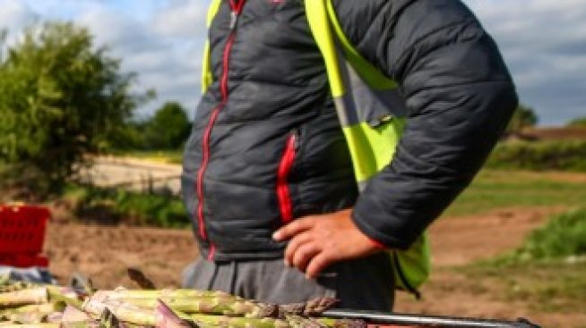 Въпреки коронавируса украинците заминават да спасяват реколтата в Европа