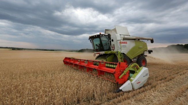 Цените на производител в селското стопанство нарастват с 6% за първото тримесечие