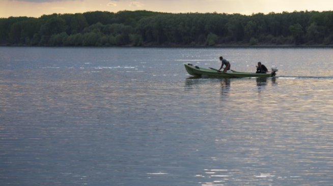 Най-скъпата сладководна риба в Европа заплува в Дунав