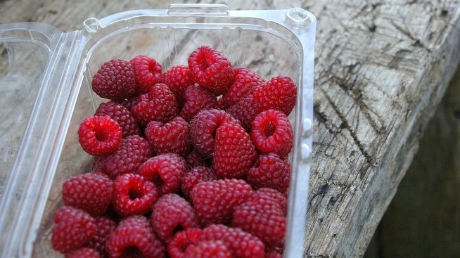 Магазини и ресторанти вече трябва да осигуряват алтернативи на пластмасовите чаши и кутии 