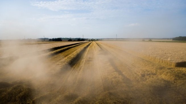 Цената на пшеницата падна до четиримесечно дъно