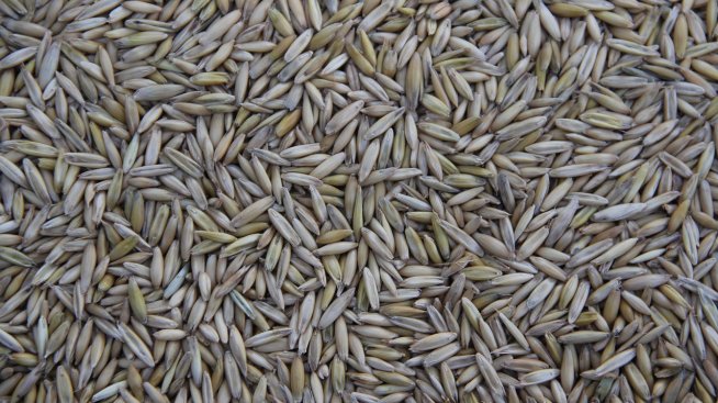 Цените на производител в селското стопанство у нас нараснаха в края на 2024 г.