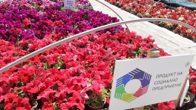 Добре дошли в „Чудната градина“ – един проект на доброто в сърцето на Добрич