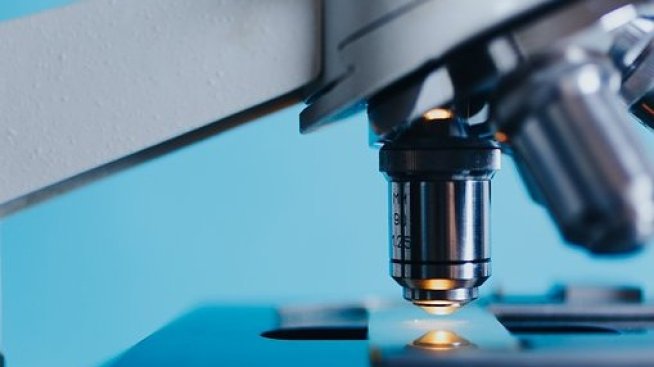 Къде е потенциалът на биотехнологичната наука